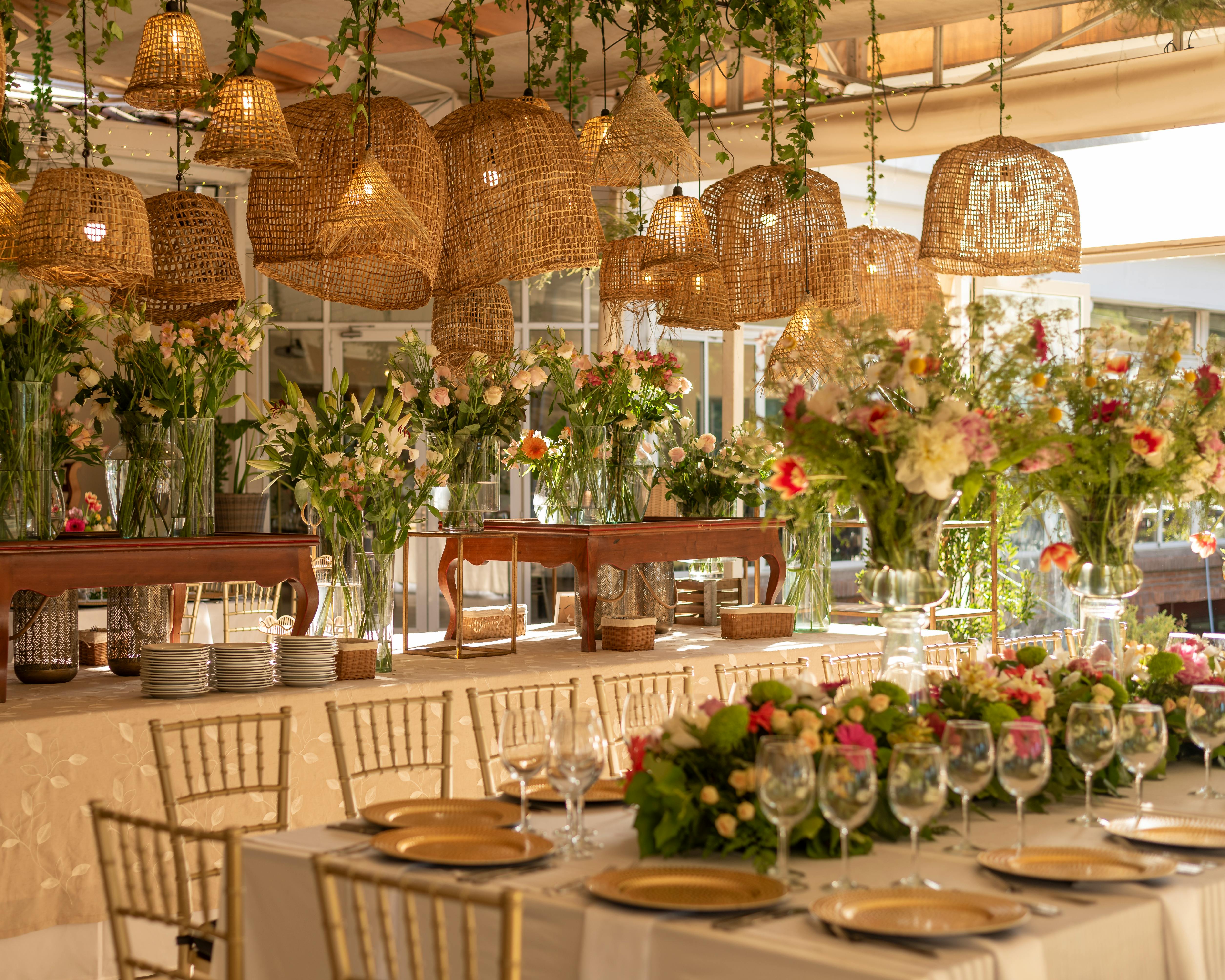 Grupo Babcha Hero Image